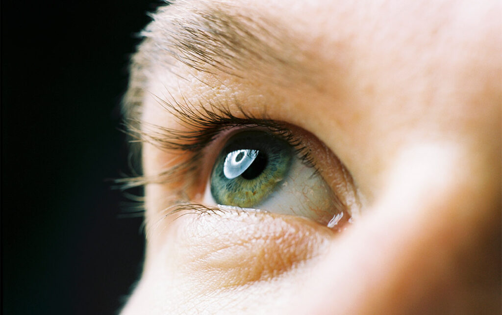 Closeup photograph of a person's green right eye and brow looking up to the right of the image.