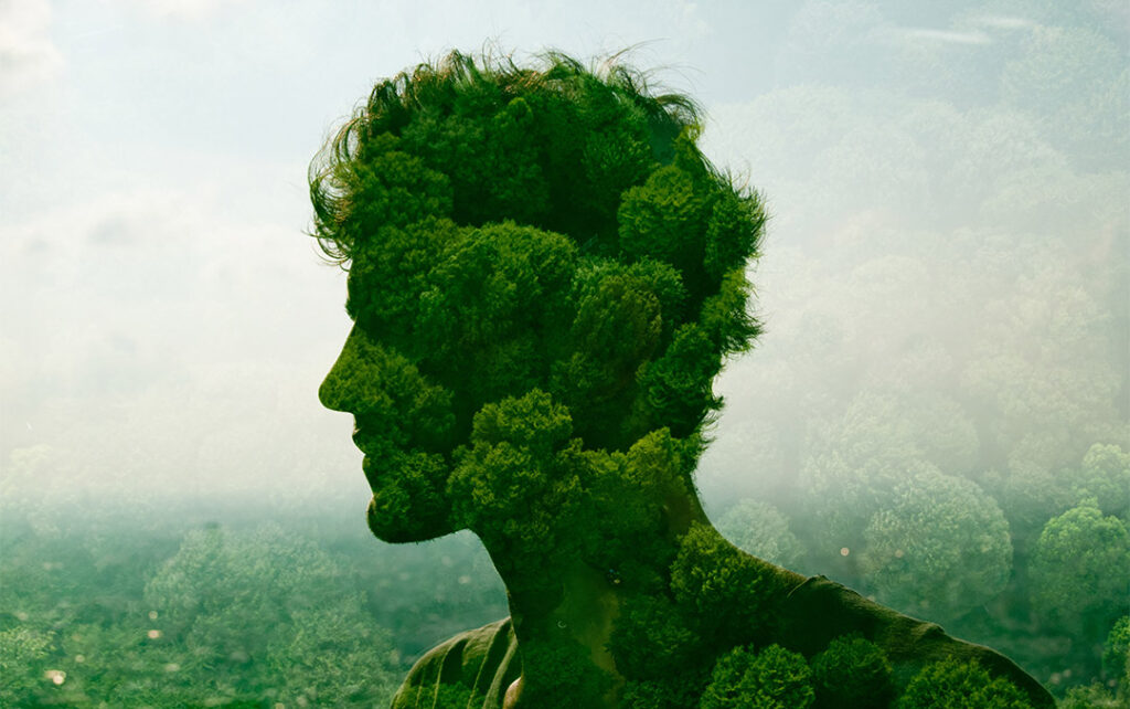 Photograph of a persons's head to neck profile looking to the left. The profile is made up of green tree foliage and rests on a similarly green foliage background that recedes in fog.