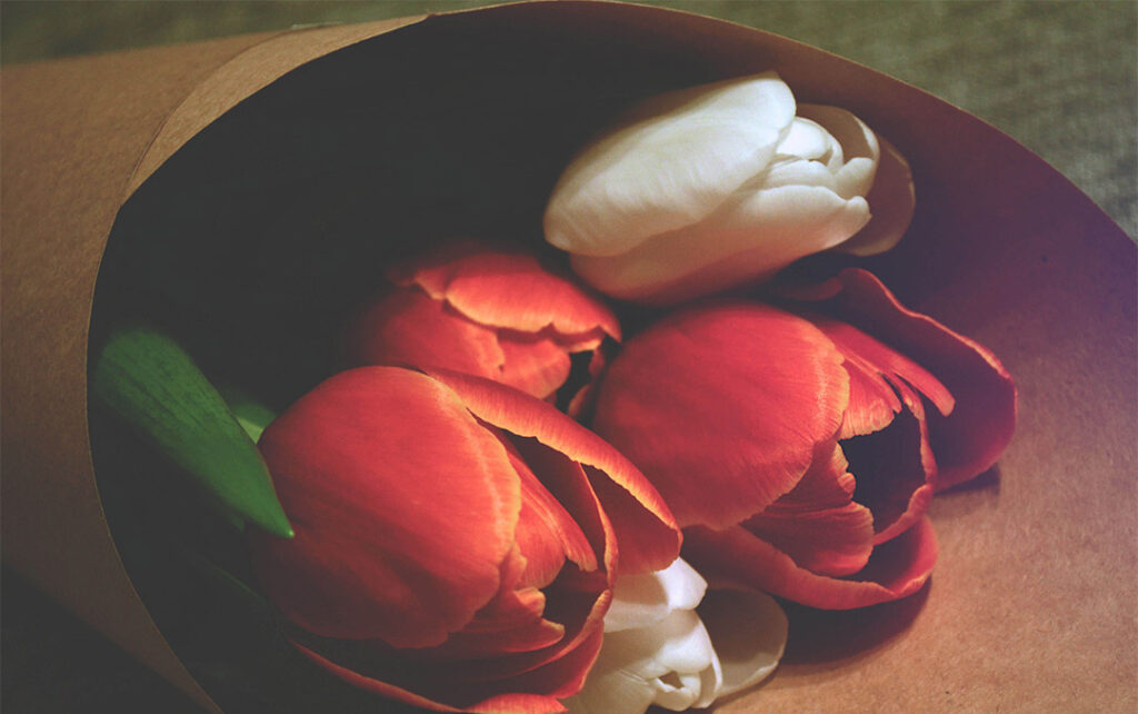 Closeup photograph of a bouquet of red and white tulips wrapped in brown paper resting on a dark green surface.