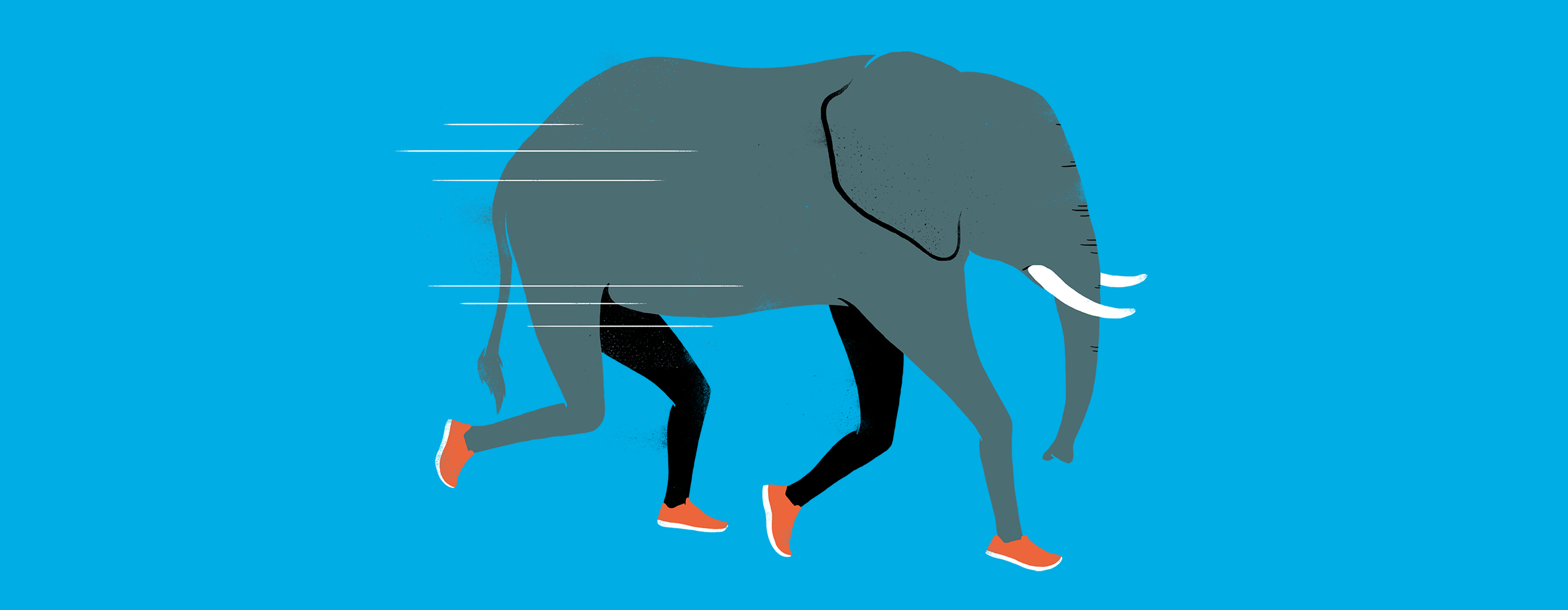 Grey Elephant graphic with human legs wearing running red shoes. White lines on the left of the image suggest motion on a bright blue background