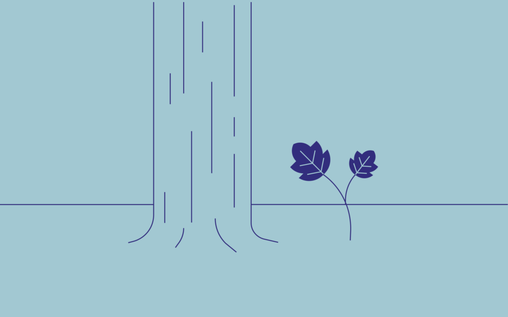 This is an illustration of a small bush growing beside a thriving, towering tree is an illustration of how strategic brand positioning can transform your brand from humble beginnings into a force of lasting growth and greatness.