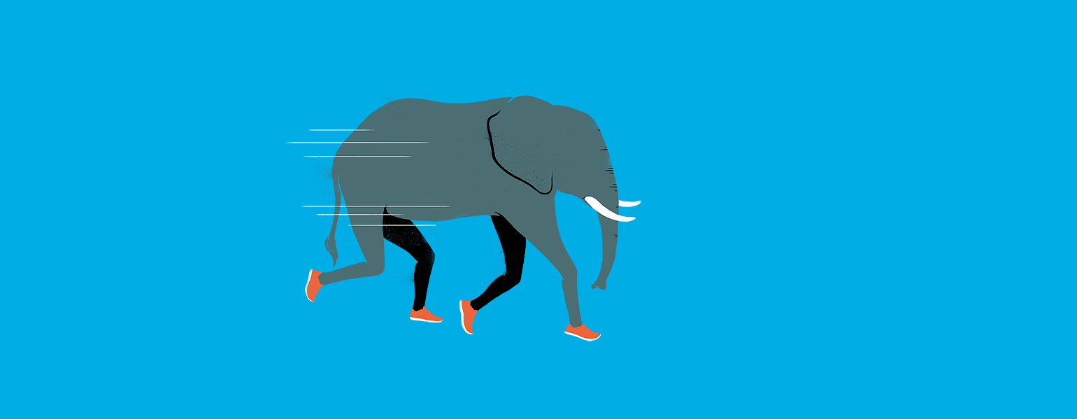 Grey Elephant graphic with human legs wearing running red shoes. White lines on the left of the image suggest motion on a bright blue background